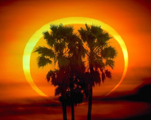 ����15�r�vӍ�Wȫ��ֱ���խhʳ�������^(�D)