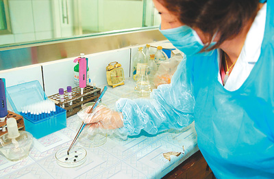 9��13�գ�����ʡ�̳ǿh�����������Ĺ����ˆTչʾ���x�˱����������z������DƬ��